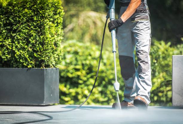 Best Boat and Dock Cleaning  in Clarkson, KY